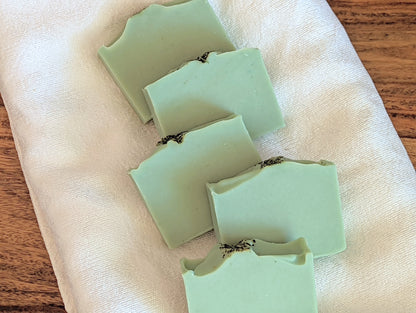 Sinus Aid  | Body Soap | Natural